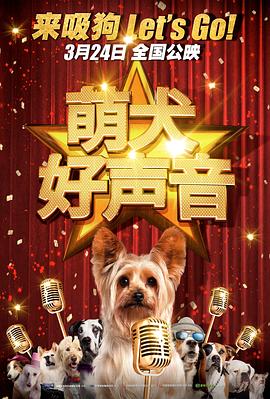 不卡视频在线