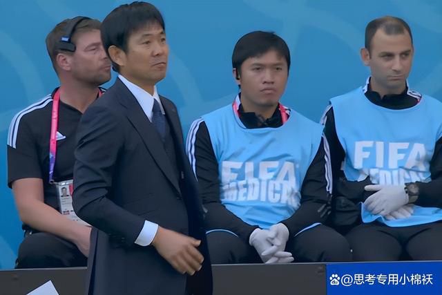 美国zoom动物仙踪林介绍