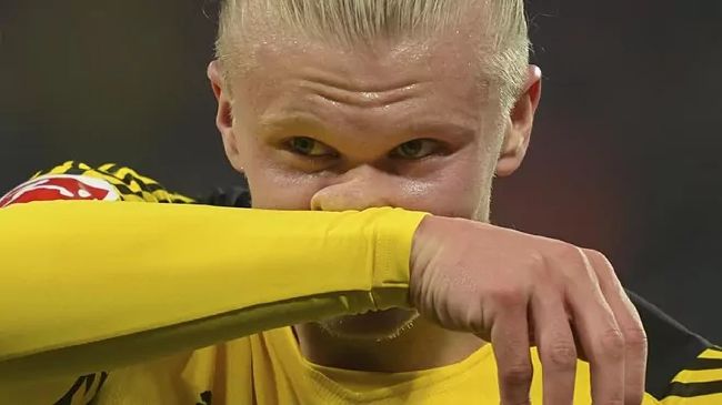 理论片下载
