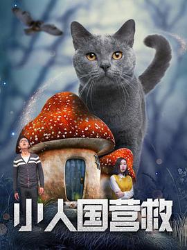 纤纤视频