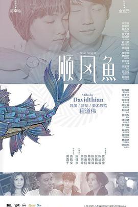 老司机精品视频一区二区