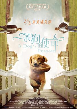 开心深爱激情