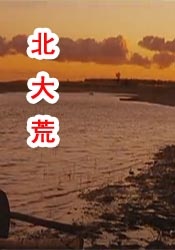 综合婷婷丁香