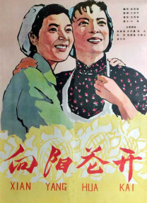 宋轶和蛇的瓜